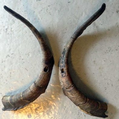 goat horns © Ancient Music Ireland